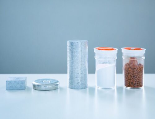 琉球新報に掲載されました