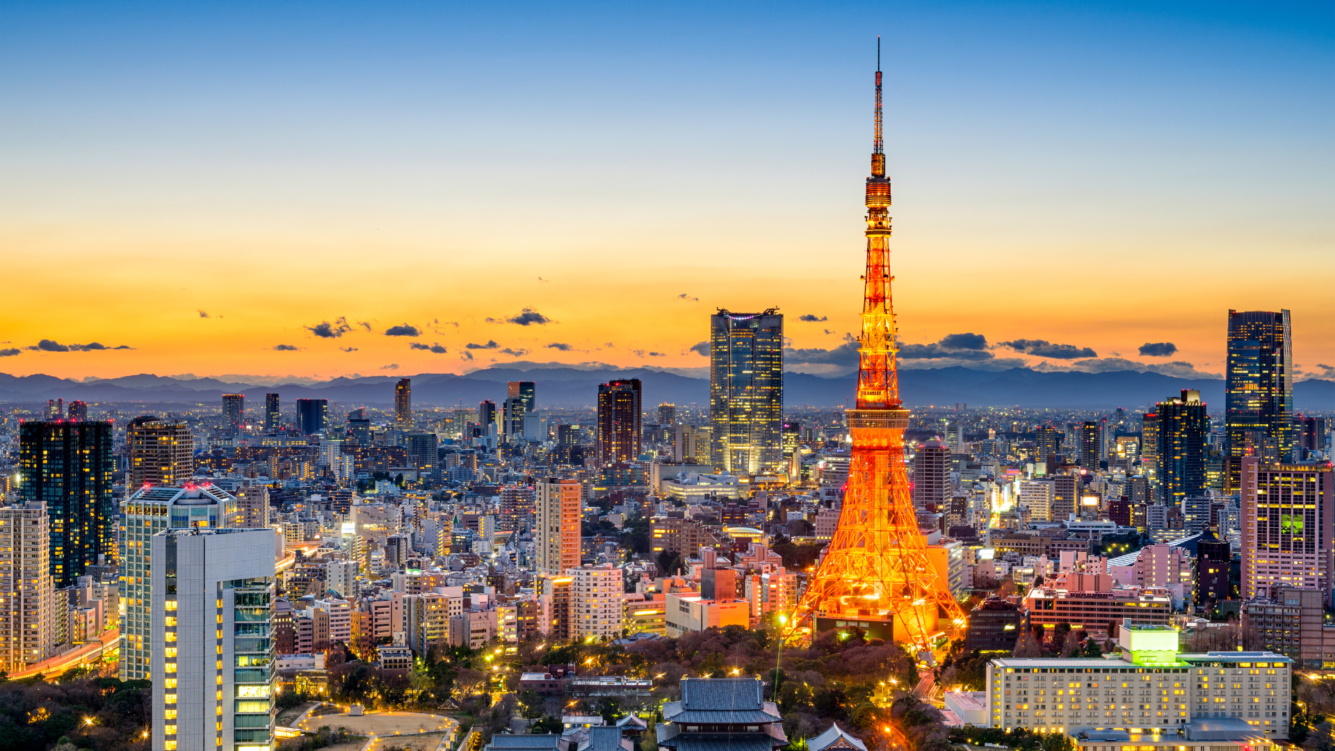 東京営業所